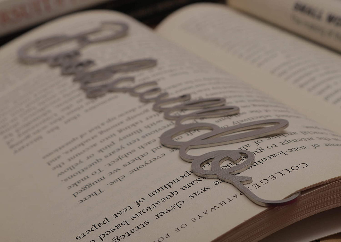 "Books will do" Stainless Steel Metal Bookmark